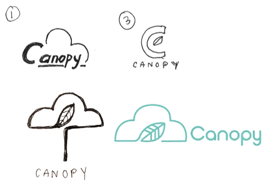 canopy_user_test_pic